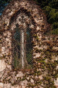 16-09-09-Nikolaifriedhof-IMG 2589 