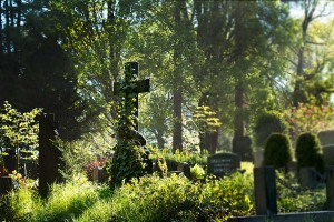 16-09-09-Nikolaifriedhof-IMG 2602 