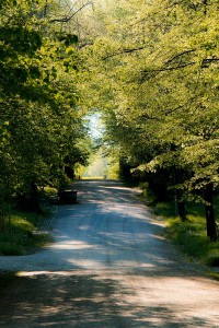 16-09-09-Nikolaifriedhof-IMG 2603 