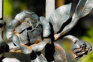 16-09-09-Nikolaifriedhof-IMG 2616 