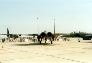F15back2